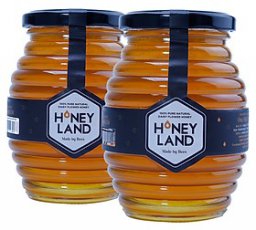 Combo 2 Thực phẩm chức năng hũ mật ong thiên nhiên hoa Xuyến Chi 500g