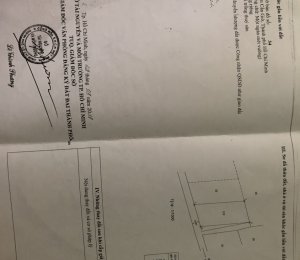 Bán đất đường xương cá 2. Xã lý Nhơn cần giờ. Dt 1000m giá bán 1,5tr/m