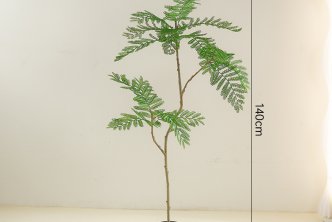 Quà tặng là cây bonsai là một ý tưởng tuyệt vời! Bonsai không chỉ là một món quà độc đáo mà còn mang